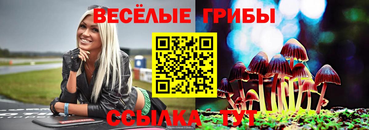 Псилоцибиновые грибы Cubensis  Вход с VPN  Галлюциногенные грибы мицелий  Геленджик 