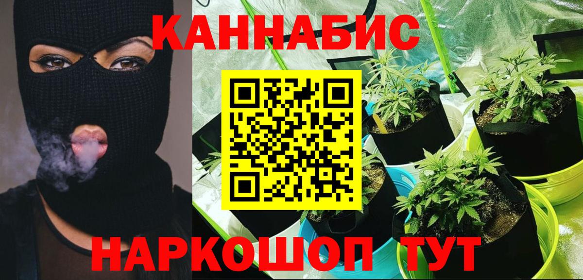 Бошки Шишки SATIVA & INDICA  Вход с VPN  Геленджик  Шишки марихуана ГИДРОПОН  Шишки марихуана SATIVA & INDICA 