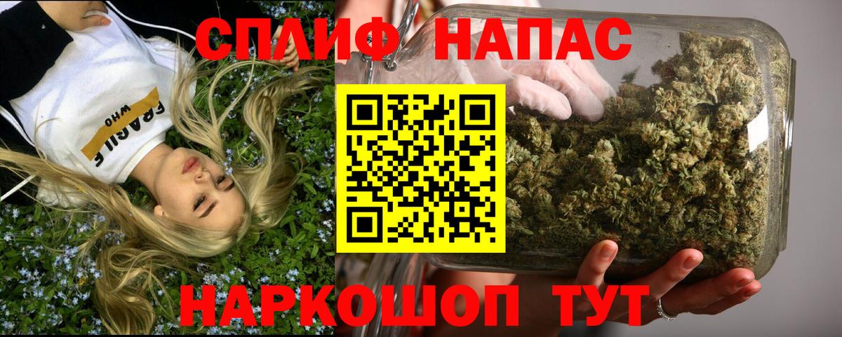 Бошки Шишки тримм Геленджик